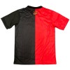 Maillot de Supporter Sport Recife Anniversaire 2024-25 Pour Homme